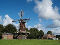 NL, Drenthe, Aa en Hunze, Gieterveen 2, Saxifraga-Hans Dekker