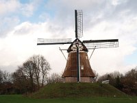 NL, Drenthe, Coevorden, Aalden 2, Saxifraga-Hans Dekker