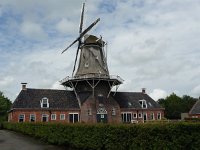 NL, Drenthe, Noordenveld, Roderwolde 1, Saxifraga-Hans Dekker