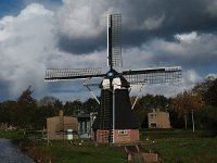 NL, Drenthe, Tynaarlo, De Groeve 2, Saxifraga-Hans Dekker