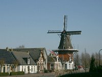 NL, Friesland, Ferwerderadeel, Birdaard 2, Saxifraga-Hans Boll