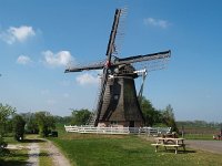 NL, Friesland, Wunseradeel, Makkum 10, Saxifraga-Hans Dekker