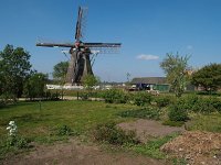 NL, Friesland, Wunseradeel, Makkum 3, Saxifraga-Hans Dekker