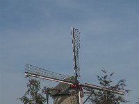 NL, Noord-Brabant, Laarbeek, Molendreef Lieshout 1, Saxifraga-Jan van der Straaten
