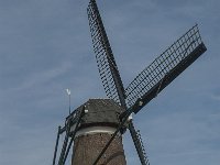 NL, Noord-Brabant, Nuenen 1, Saxifraga-Jan van der Straaten