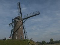 NL, Noord-Brabant, Nuenen 2, Saxifraga-Jan van der Straaten