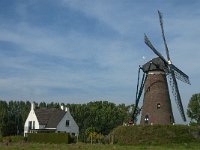 NL, Noord-Brabant, Nuenen 3, Saxifraga-Jan van der Straaten