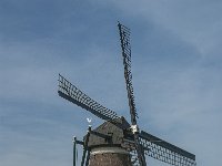 NL, Noord-Brabant, Nuenen 4, Saxifraga-Jan van der Straaten