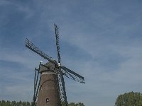 NL, Noord-Brabant, Nuenen 5, Saxifraga-Jan van der Straaten
