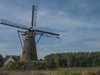 NL, Noord-Brabant, Nuenen 6, Saxifraga-Jan van der Straaten