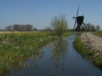 NL, Noord-Brabant, Werkendam, Kornsche Boezem 16, Saxifraga-Marijke Verhagen