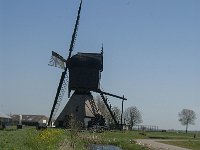 NL, Noord-Brabant, Werkendam, Kornsche Boezem 17, Saxifraga-Marijke Verhagen