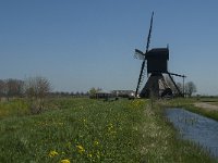 NL, Noord-Brabant, Werkendam, Kornsche Boezem 18, Saxifraga-Marijke Verhagen
