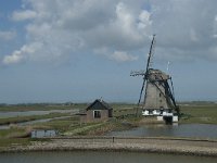 NL, Noord-Holland, Texel, Het Noorden 1, Saxifraga-Willem van Kruijsbergen
