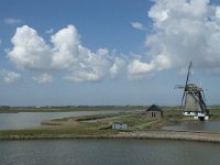 NL, Noord-Holland, Texel, Het Noorden 2, Saxifraga-Willem van Kruijsbergen