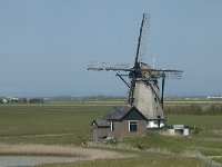 NL, Noord-Holland, Texel, Het Noorden 4, Saxifraga-Willem van Kruijsbergen