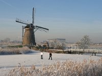 NL, Zuid-Holland, Alblasserdam, Kinderdijk 1, Saxifraga-Jan C van der Straaten