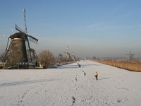 NL, Zuid-Holland, Alblasserdam, Kinderdijk 4, Saxifraga-Jan C van der Straaten