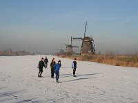 NL, Zuid-Holland, Alblasserdam, Kinderdijk 5, Saxifraga-Jan C van der Straaten