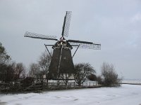NL, Zuid-Holland, Midden-Delfland 11, Saxifraga-Bart Vastenhouw