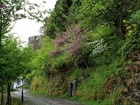 AL, Gjirokaster, Tepelene 5, Saxifraga-Hans Boll