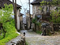 AL, Gjirokaster, Tepelene 6, Saxifraga-Hans Boll