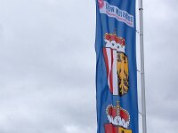 A, Oberoesterreich, Gosau, Donnerkogelbahn 2, Saxifraga-Foto Fitis-Sytske Dijksen