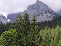AU, Steiermark, Ramsau 2, Saxifraga-Jonathan Vandevoorden