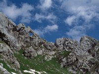 A, Vorarlberg, Dalaas, Fensterlewand 1, Saxifraga-Jan van der Straaten