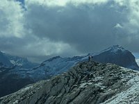 A, Vorarlberg, Nenzing, Barthuemeljoch 10, Saxifraga-Jan van der Straaten