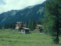 A, Vorarlberg, Nenzing, Nenzinger Himmel 5, Saxifraga-Jan van der Straaten