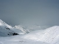 A, Vorarlberg, Sonntag, Biberacher Huette 13, Saxifraga-Jan van der Straaten