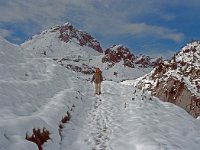 A, Vorarlberg, Sonntag, Biberacher Huette 16, Saxifraga-Jan van der Straaten