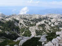 HR, Split Dalmatia County, Maraska, Biokovo mountains 2, Saxifraga-Jasenka Topic