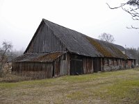 EST, Laanemaa, Laane-Nigula vald, Hindaste 4, Saxifraga-Tom Heijnen