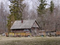 EST, Parnumaa, Laaneranna vald, Tuhu 2, Saxifraga-Tom Heijnen