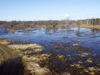 EST, Viljandimaa, Toramaa puisniidu rada in Soomaa rahvuspark 2, Saxifraga-Tom Heijnen