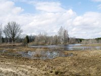 EST, Viljandimaa, Meiekose opperada in Soomaa rahvuspark 1, Saxifraga-Tom Heijnen