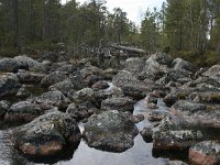 FIN, Lapland, Inari 16, Saxifraga-Dirk Hilbers