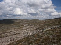 FIN, Lapland, Utsjoki, Kevo 10, Saxifraga-Dirk Hilbers