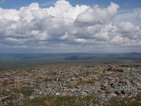 FIN, Lapland, Utsjoki, Kevo 5, Saxifraga-Dirk Hilbers