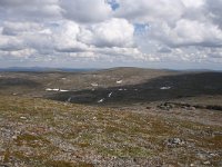 FIN, Lapland, Utsjoki, Kevo 7, Saxifraga-Dirk Hilbers