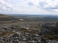 FIN, Lapland, Utsjoki, Kevo 8, Saxifraga-Dirk Hilbers