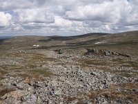 FIN, Lapland, Utsjoki, Kevo 9, Saxifraga-Dirk Hilbers