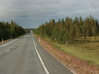 FIN, Northern Ostrobothnia, Oulu 2, Saxifraga-Marjan van der Heide