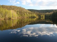 FIN, Oulu, Kuusamo, Oulanka 14, Saxifraga-Dirk Hilbers