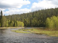 FIN, Oulu, Kuusamo, Oulanka 15, Saxifraga-Dirk Hilbers