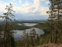 FIN, Oulu, Kuusamo, Valtavaara NP 1, Saxifraga-Dirk Hilbers