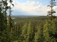 FIN, Oulu, Kuusamo, Valtavaara NP 10, Saxifraga-Dirk Hilbers