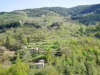 F, Ardeche, Albon-d'Ardeche, near Albon-d'Ardeche village 6, Saxifraga-Tom Heijnen